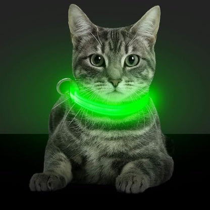 BSEEN Light Up Dog Collars - Glowing LED Dog Collar Rechargeable Puppy Collar for Small Dogs & Cats, Safety Dog Lights for Night Walking (Green) - color: Green