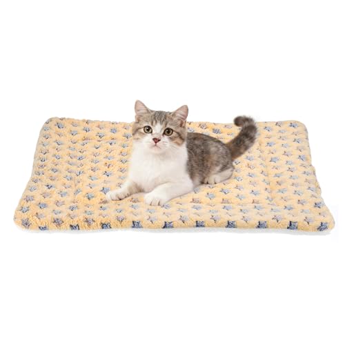 Dog Cat Bed Mat, Soft Coral Fleece Pet Cushion Pad with Cute Star Print, Warm Washable Pet Bed 23x18 Inches, (Coffee), Intended for Medium Small Dog Cat - color: Coffee, size: 23x18 inch