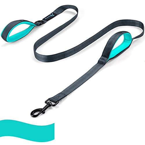 Dog Leash for Large Medium Dogs 6Ft x 1" Reflective Stitching Large Pet Leash with 2 Traffic Padded Handles Dog Lead Rope for Running Walking Training (Green 1 Pack) - color: Green 1 Pack, size: 6 ft x 1 in