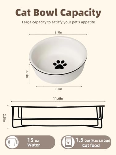 GDCZ Ceramics Raised Cat Bowls with Heighten Metal Stand,15 Ounces White - color: White