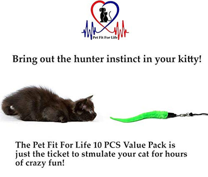 Pet Fit For Life - 10 Piece Kitten Toy Refill Pack - Replacement for Indoor Cat's Interactive Wand and Catch Wand - Features 5 Squiggly Worms and 5 Furry Mouse Feather Attachments - style: 5 Worms, 5 Mice