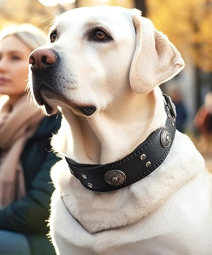 Leather Dog Collar, 2 inches Wide Heavy Duty Genuine Leather Collars, Handmade, Soft, and Luxury, Eye-catching Best Choice for Large and Medium Breed Dogs, Black 15-19 in - color: Black, size: 15-19 in