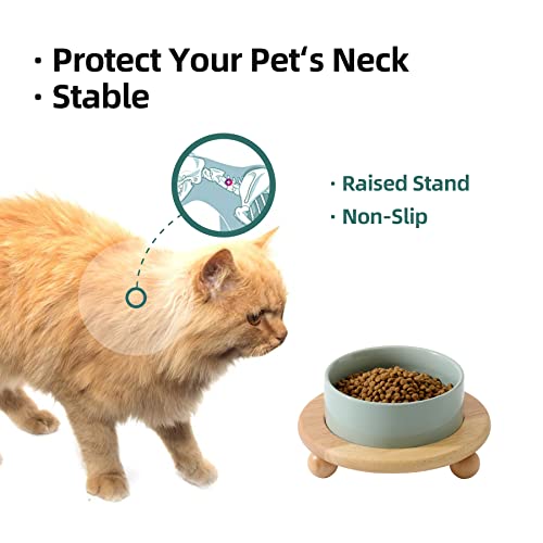 Havniva Raised Cat Bowls Water Bowl 5.1” Elevated Ceramic Cat Food and Water Bowl Whisker Friendly Pet Food Bowls for Indoor Cats, Wide Cat Water Dish Prevent Whisker Fatigue Non Slip Cat Feeder - color: 1 x Bowl + Stand - Light Green
