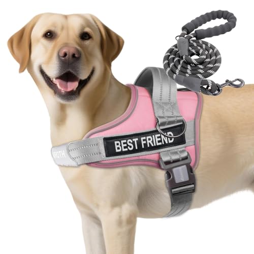 AUROTH Dog Harness and Leash Set, Soft Padded Service Dog Vest with 5.25FT Dog Leash, No Choke, Easy On Pet Vest, Adjustable Reflective No Pull Dog Harness for Large Dogs, Easy Walking and Training - color: Pink, size: Large