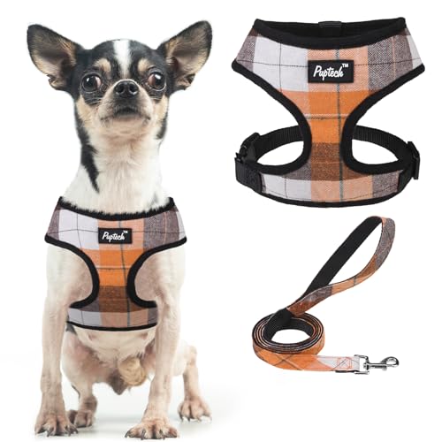 PUPTECK Soft Mesh Dog Harness and Leash Set Pet Puppy Cat Comfort Padded Vest No Pull Harnesses, Orange, XS - color: Orange, size: XS (NECK: 10", CHEST: 10"-14")