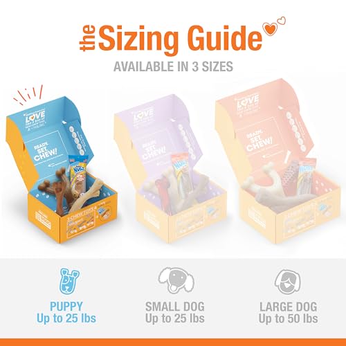 Nylabone Puppy Gift Box, Includes 3 Strong Puppy Chew Toys and 1 Natural Treat Bone for Puppies, Gifts for Puppies, Small Dogs - Up to 25 lbs., 4 Pack - size: Puppy (4 Count)