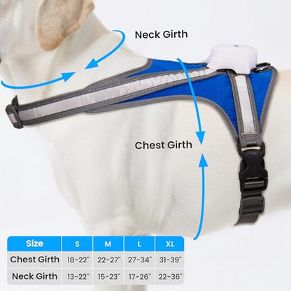 Light Up Dog Harness, Reflective Adjustable Dog Vest, No Pull Illuminated LED Harness for Dogs Night Walking Hiking Running, Waterproof,Lightweight(Large, Blue)