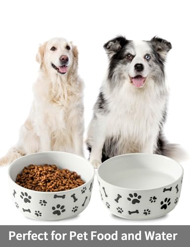 UBEE Ceramic Dog Bowl Set of 2, 6.5 inch Dog Food Bowl Dish with Bone Paw Pattern, Pet Food Water Dish Feeding for Small and Meidum Dogs and Large Cat, White - color: White-dog paw, size: 6.5 inch x 2