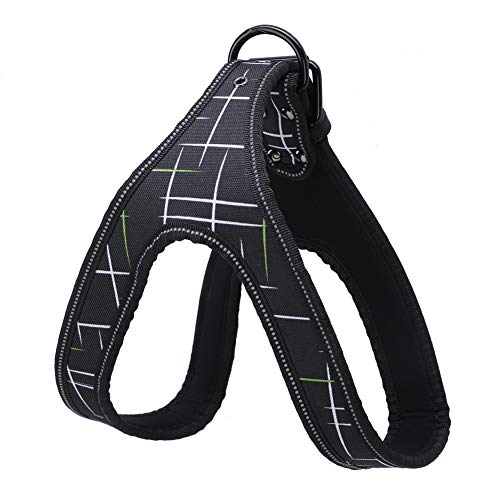 Reflective Dog Harness & Leash Set | Protective Pet Traction Suit for Night Visibility | Adjustable Dog Vest for Small/Medium/Large Breeds | Comfortable Neoprene Lining
