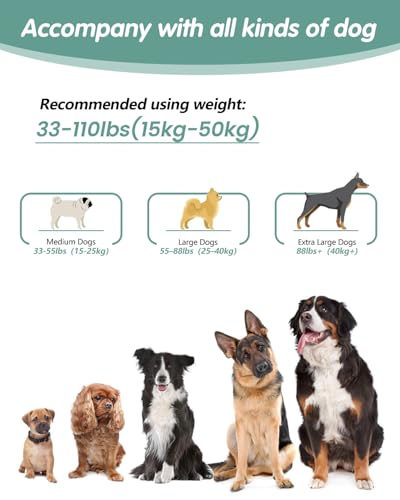 Hands Free Dog Leash, Multifunctional Crossbody Dog Leash, 5.9-9.5Ft Long Waist Belt with Car Seatbelt and Double-Sided Reflective Stitches for Medium and Large Dogs Walking, Jogging(Green) - color: Green, size: Large-5.9-9.5ft