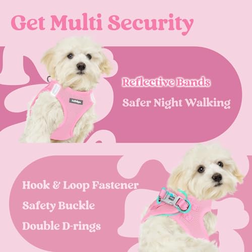 rabbitgoo Small Dog Harness, Step-in Soft Mesh Puppy Vest with Safety Buckle, Breathable Reflective Pet Harness for Extra Small Dogs, Light Pink XXS - color: Light Pink, size: Xxs(chest:12.4"-14.2")