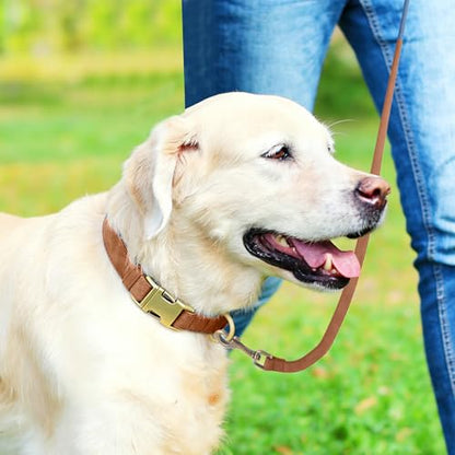 Genuine Leather Dog Collar - Adjustable Pet Collar with Quick Release Metal Buckle, Soft Skin Friendly Real Leather Collar for Small, Medium, Large Dogs (Khaki, M：Fit 12-20" Neck) - color: Khaki, size: M：Fit 12-20" Neck