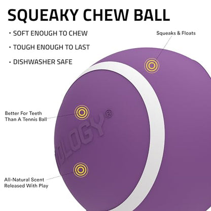 Playology Dog Toys | Squeaky Chew Ball - Bouncy Durable Floating Fetch Ball for Dogs | Jumbo Bacon Scented Toy - Easy to Clean and Made from Non Toxic Materials - size: Jumbo, style: Bacon