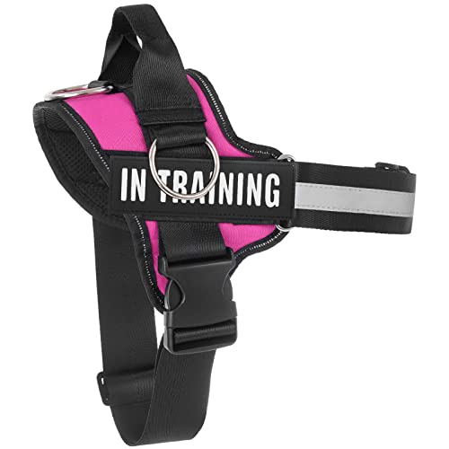 Essential Dog Harness, No Pull Pet Harness with 3 Side Rings for Leash Placement, No Choke, Reflective, Adjustable Pet Vest, Easy On-Off & Improved Control Handle (Rose, XXL(Neck:23-34",Chest:30-40")) - size: XXL(Neck:23-34",Chest:30-40")