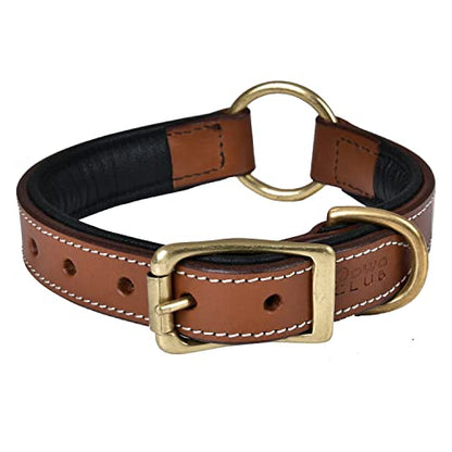 | Genuine Leather Adventure Dog Collar | Full Grain, Heavy Duty | With inner Cushioned padding | Best for Medium, Large & XL Dog (Medium (Fit Neck Size 14.5"-18.5"), Brown With Center O Ring) - color: Brown With Center O Ring, size: M (Fit Neck Size 14.5"