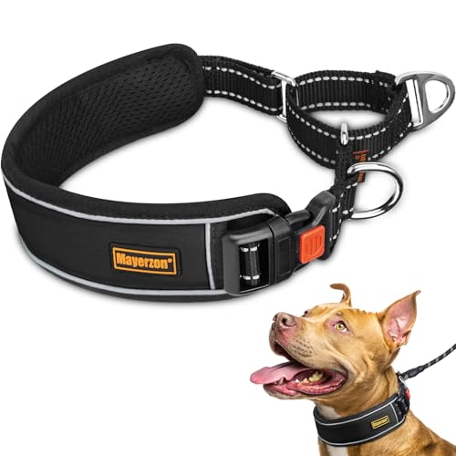 Mayerzon 2 Inch Wide Martingale Collar for Large Dogs, Patented No Pull Walking Training Dog Collar for Pitbull German Shepherd, with Buckle, Reflective Stitching, Adjustable (Black, L) - color: Black, size: L: 19"-21"