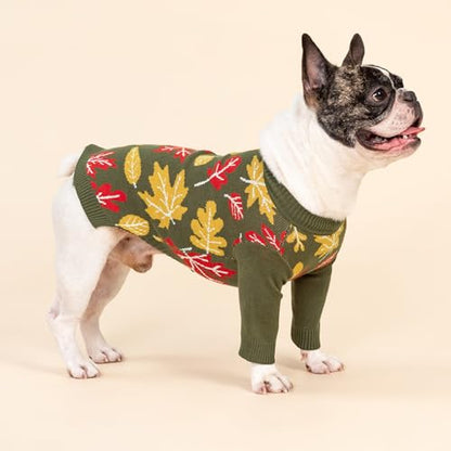 Fitwarm Maple Dog Sweater, Thermal Dog Winter Clothes for Small Dogs Boy Girl, Fall Pet Outfit, Red, Yellow, White, Olive Green, Small - color: Maple, size: Small