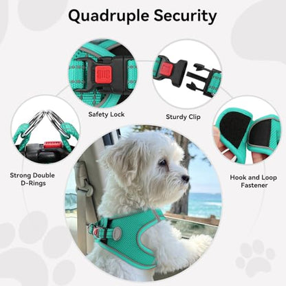 Joytale Small Dog Harness, Breathable Mesh Step-in Vest, Reflective Soft Padded Harnesses for Cats, Puppies and Extra Small Dogs, Teal, XXS - color: Teal, size: XXS--Chest: 12-13.5''