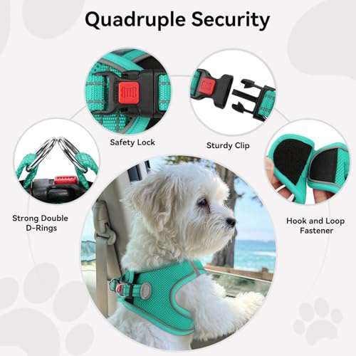 Joytale Small Dog Harness, Breathable Mesh Step-in Vest, Reflective Soft Padded Harnesses for Cats and Puppies Dogs, Teal, XXXS - color: Teal, size: XXXS--Chest: 10.5-12''