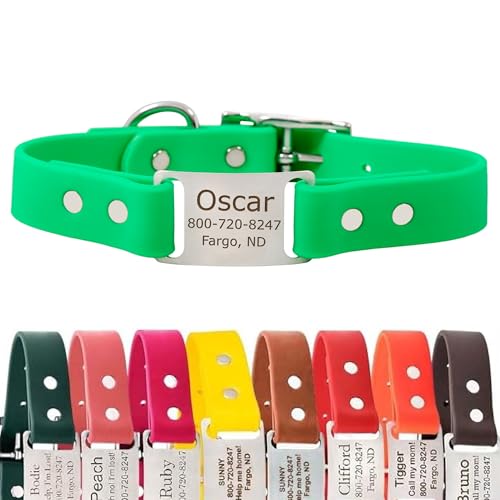 dogIDs Personalized Dog Collar – ScruffTag Custom Waterproof Biothane Dog Collar with Laser-Engraved Name, Durable & Odor-Resistant – USA Made | Bright Green, 1 in x 16 in (Fits Neck Sizes 14-18 in) - color: Bright Green, size: 1 in x 16 in (Fits Neck Siz