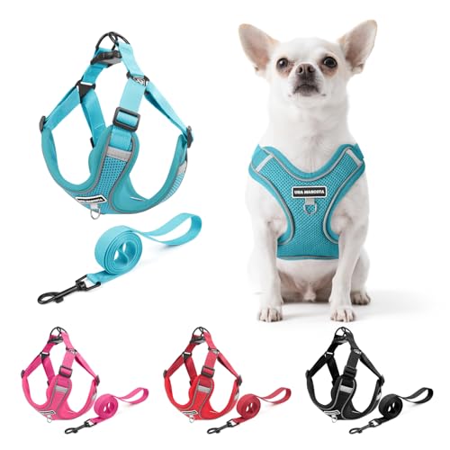 Dog Harness and Leash Set, Adjustable Triangle, Reflective Adjustable Puppy Vest, No Pull Soft Mesh Harness for Small, Medium Dogs, Cats (Turquoise, S) - color: Turquoise, size: S