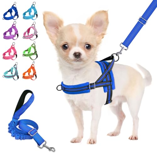Lukovee No Pull Dog Harness and Leash Set, Soft Padded Small Dog Harness, Neck & Chest Adjustable Reflective Vest Puppy Harness with 4ft Lightweight Anti-Twist Dog Leash for Small Dogs (S, Blue) - color: Blue, size: S ( Chest 17.5'' ~ 22'')