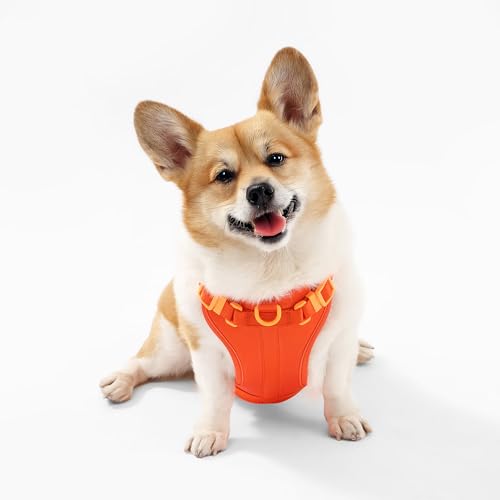 HNS1002A Arlo Medium Adjustable Soft Padded No Pull Pet Harness with 3 Buckles and 3 Leash Clips, Aperol - color: Dark Orange, size: Medium (Chest: 18 - 28")