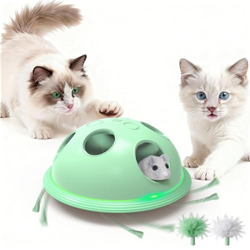 Pawingcat Automatic Cat String Toy 6 Holes Whack a Mole Cat Toy with Plush Running Cat Mouse Toy Hide and Seek Interactive Cat Toys for Indoor Cats（Green） - color: Green