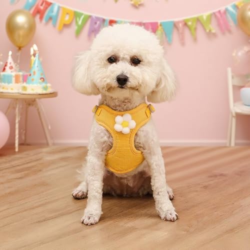 Cute Small Dog Harness with Daisy Embroidery, Breathable Dog Vest Adjustable Pet Puppy Harness Suitable for Walking, Running, Training, Everyday Wear - color: Yellow, size: L