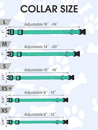 Reflective Dog Collar, Sturdy Nylon Collars for Puppy and Extra Small Girl and Boy Dogs, Adjustable Dog Collar with Quick Release Buckle,Turquoise,5/8" Width - color: Turquoise, size: X-Small Plus (Pack of 1)