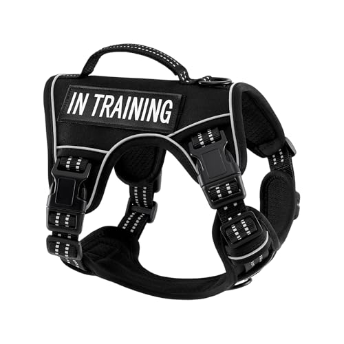 Extra Small Dog Harness, No-Pull Pet Harness with 2 Leash Clips, Adjustable Soft Padded Dog Vest, Reflective No-Choke Pet Oxford Vest with Easy Control Handle for XSmall Dog Breeds, Black, XS - color: Black, size: Extra Small