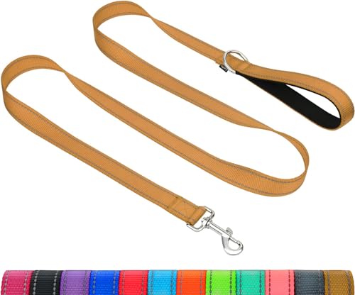 Taglory Dog Leash for Medium Large Dogs, Double-Sided Reflective for Night Walking, Neoprene Padded Handle, 1 inch by 5 ft, Heavy Duty for Medium Large Breeds 20-150 lbs, Tan - color: Tan, size: 1 in x 5 ft (Pack of 1)