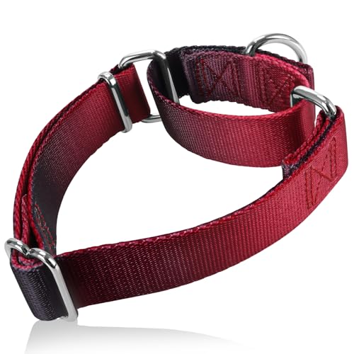 Martingale Dog Collar Colorful Gradient Fashionable - Anti-Escape Soft Durable Pets Collar for Walking Training Outdoor Daily Use -Medium, Burgundy - color: Burgundy Gradient, size: Medium: 14" -21"