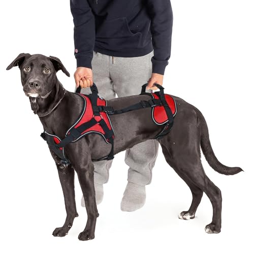 Doggie Stylz Multi-Functional Full-Body Lifting Dog Harness Vest, Designed for Front-Only, Rear-Only or Full-Body Lifting. Please Measure Your Dog Before Ordering. - size: Girth 25-33"