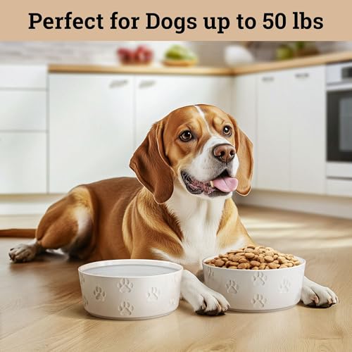 Ceramic Dog Bowl Set of 2 with Anti-Skid Base - 6.5" Wide x 2.5" Tall Ceramic Dog Bowls Medium Sized Dogs - 3.8 Cup Capacity Food and Water Bowls for Dogs - Rubber Bottom Pet Bowl Set of 2 Medium Size - color: White, size: Medium