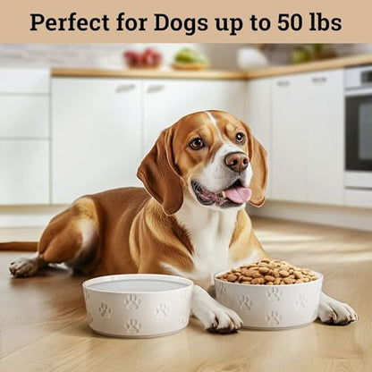 Ceramic Dog Bowl Set of 2 with Anti-Skid Base - 6.5" Wide x 2.5" Tall Ceramic Dog Bowls Medium Sized Dogs - 3.8 Cup Capacity Food and Water Bowls for Dogs - Rubber Bottom Pet Bowl Set of 2 Medium Size - color: White, size: Medium