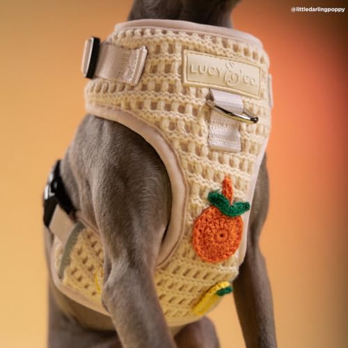 Lucy & Co. Main Squeeze Crochet No-Pull Dog Harness, Adjustable Front Clip Harness with Comfort Padding, Small - color: Main Squeeze, size: Small
