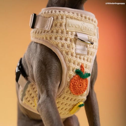 Lucy & Co. Main Squeeze Crochet No-Pull Dog Harness, Adjustable Front Clip Harness with Comfort Padding, Small - color: Main Squeeze, size: Small