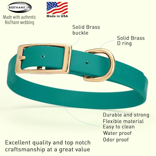 Viper Biothane Heavy Duty Waterproof Dog Collar Strong Coated Nylon Webbing w/Solid Brass Hardware Odor-Proof for Easy Care Easy to Clean High Performance Fits Small Medium or Large Dogs, Blue Aqua