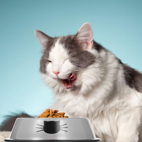 BESPORTBLE Thickened Stainless Steel Pet Bowl Set with Dual Food and Water Bowls Anti-Skid Base Gray Cat and Dog Feeding Dish for Indoor Use