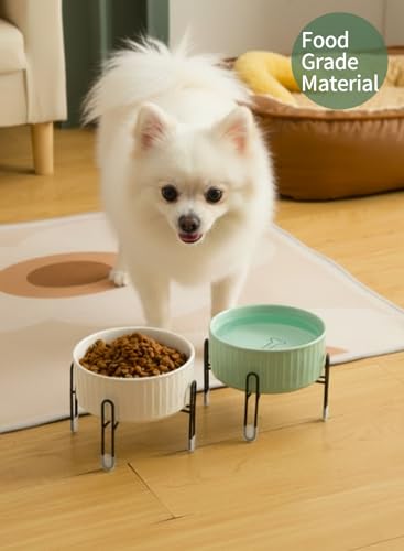 32 OZ Ceramic Dog Cat Bowls with Elevated Metal Stand, 2 Heights Elevated, 6.5 Inch Ceramic Round Pet Food and Water Feeder Bowl Dish for Cats & Dogs, White & Green - color: White & Green