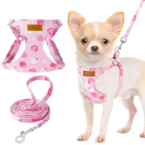 Lukovee Puppy Harness and Leash Set, No Pull Lightweight Soft Suede Adjustable Pet Harness Vest with Snap Buckle for Puppy Small and Medium Size Dog (Pink Strawberry, XS) - color: Strawberry, size: X-Small ( 5.5-11lb )