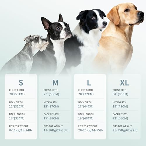 Dog Shirt, Cooling Vest Lightweight Breathable, Dog T-Shirts All-Season UV Protection Pet Clothes Quick Dry Soft Stretchy Pet Shirt Vest for Small Medium Large Dogs (Misty Glade 1PC, Medium) - color: Misty Glade, size: Medium (24-35lbs)