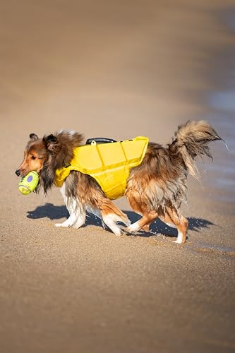 NOAH & PAW Dog Life Jacket, Human Standards Lifejacket Design, Dog Life Vest for Swimming and Boating, 3X Foam Support for Max Floating, Breathable Mesh, Salvavidas para Perros, Size M - size: M