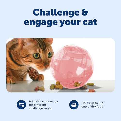 PetSafe Slimcat Feeder Ball - Interactive Game for Your Cat - Fill with Food and Treats - Pink - color: Pink