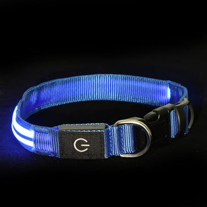 Neon LED Light Up Dog Collar for Night Walking, Rechargeable Safety Glow Illuminated Collar with 3 Modes Flashing, Reflective Adjustable Pet Light for Small/Medium Dogs Puppy 15-19" Neck (Blue) - color: 1-Pack(Blue)&Medium