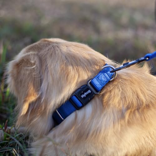 Small Dog Collar Quick-Release Blue| Heavy-Duty Nylon Puppy Collar, Adjustable & Durable Pet Supplies for Boy & Girl Dogs (Small, Classic Blue) - color: Classic Blue, size: Small
