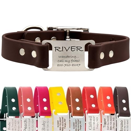 dogIDs Personalized Dog Collar – ScruffTag Custom Waterproof Biothane Dog Collar with Laser-Engraved Name, Durable & Odor-Resistant – USA Made | Brown, 1 in x 16 in (Fits Neck Sizes 14-18 in) - color: Brown, size: 1 in x 16 in (Fits Neck Sizes 14-18 in)