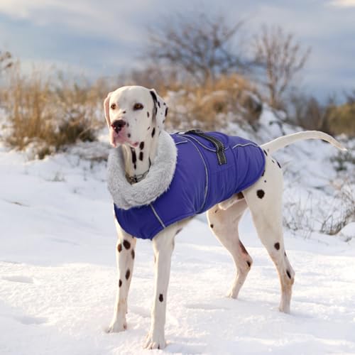Lelepet Warm Dog Winter Coat Waterproof Dog Jacket with Adjustable Buckle & Leash Hole Reflective Pet Fleece Snowsuit Turtleneck Windproof Cold Weather Coats, Blue, M - color: Blue, size: M
