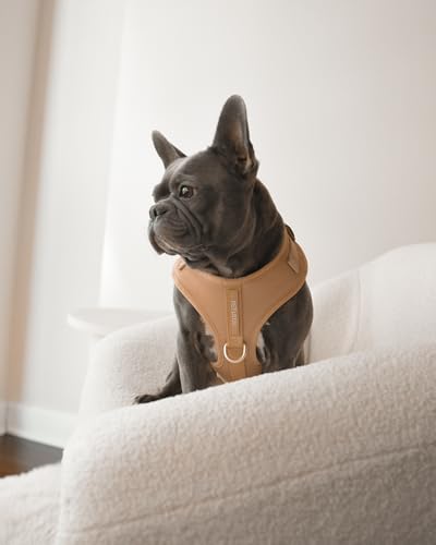 Premium No-Pull Dog Harness Soft Neoprene & Breathable Mesh Vest with Front & Back Clip D-Rings Adjustable Lightweight Walking Harness for Puppies, Small & Medium Dogs (Beige, M) - color: Beige, size: M: Neck=15.4-20.1''/Chest=18.1-24.4''